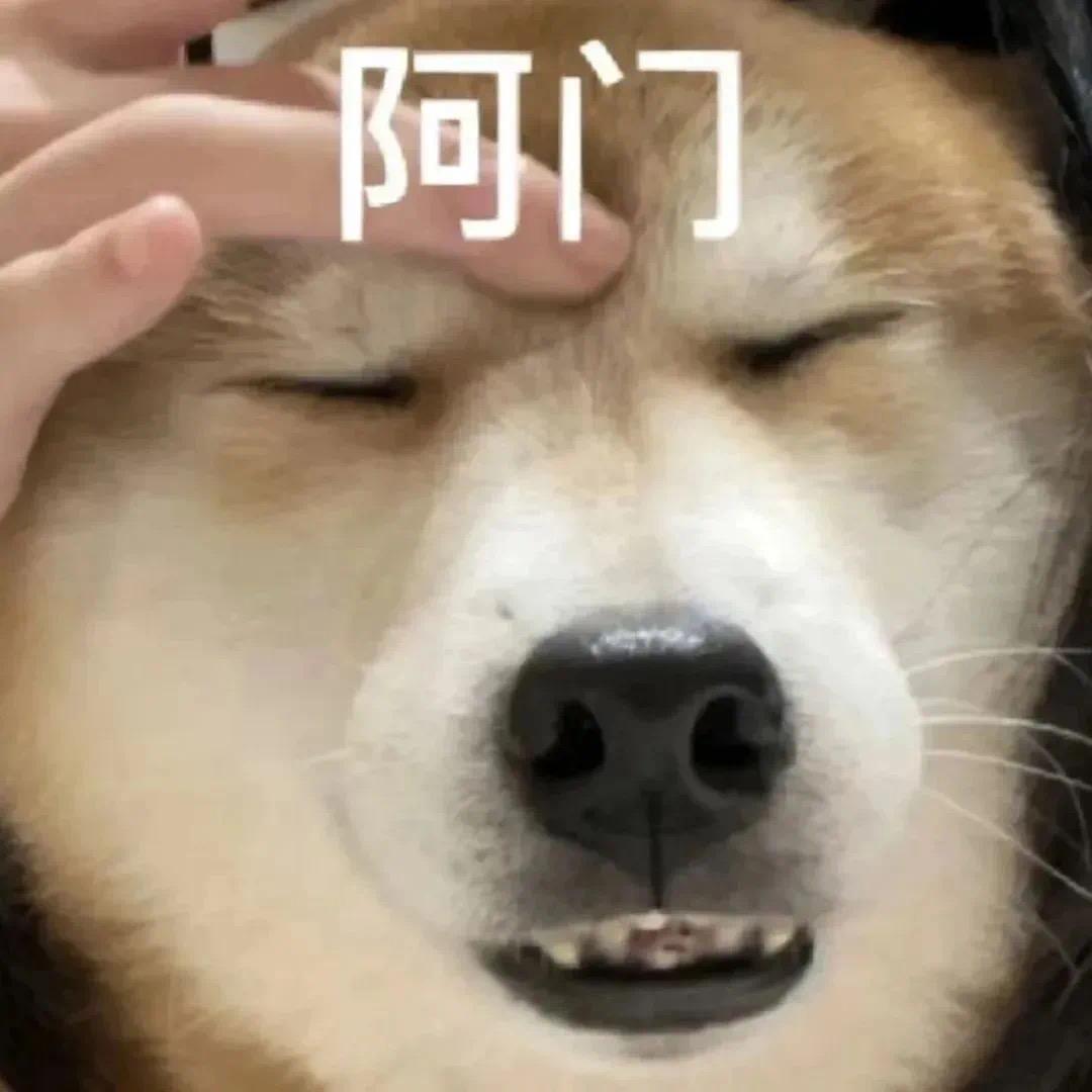 江苏下小雪