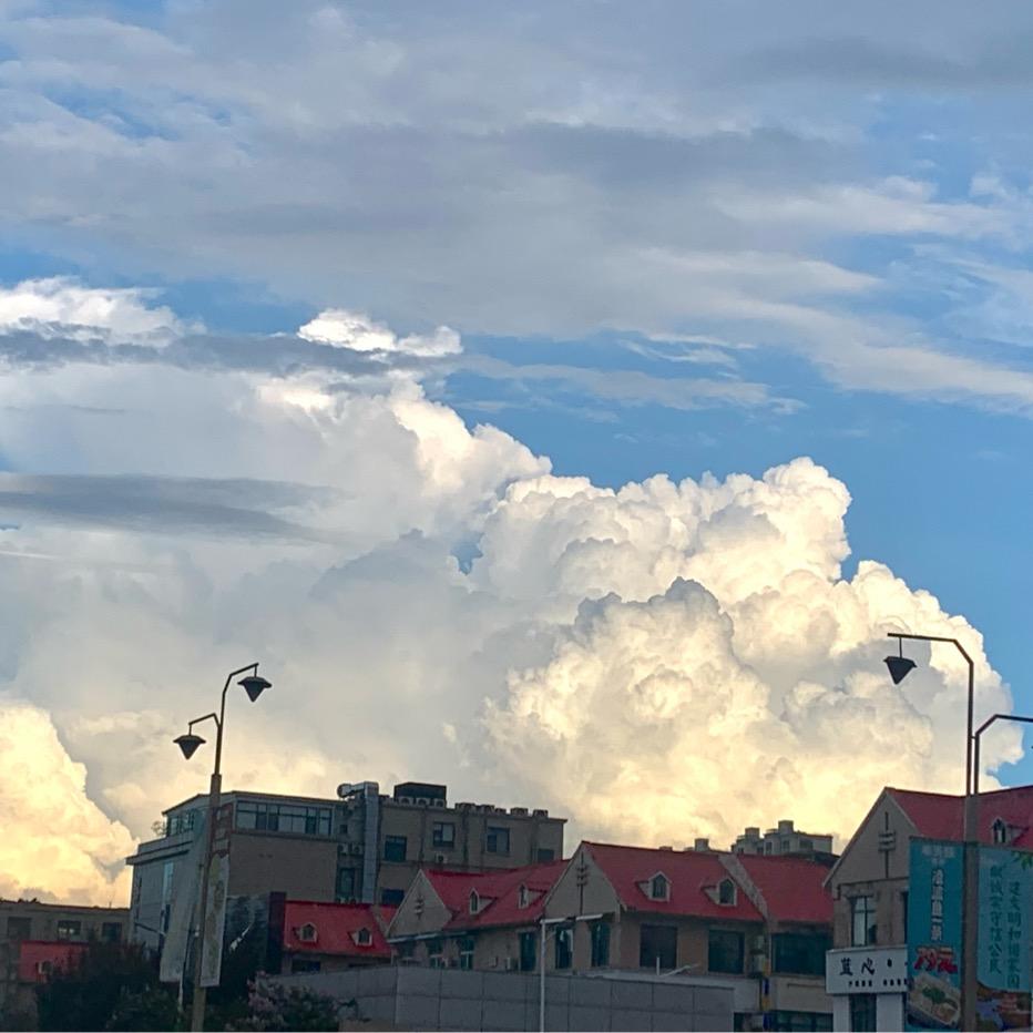 禹州市金莎莎电子商务有限公司