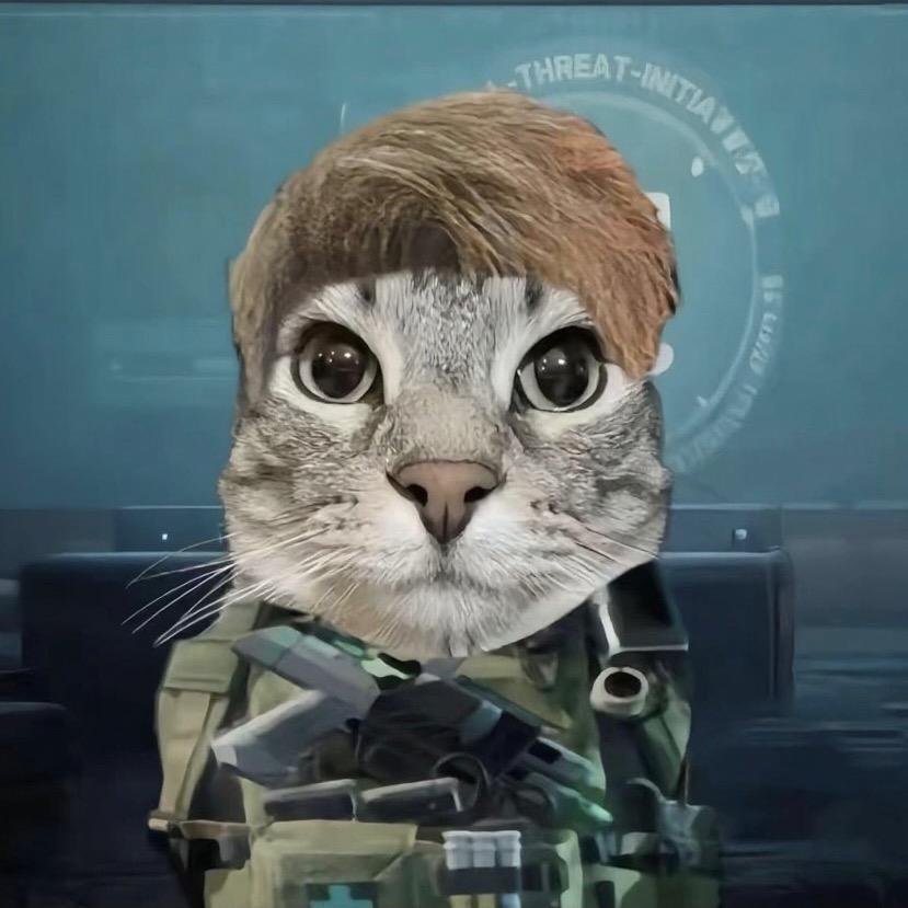 卫戴（三角洲跑刀）