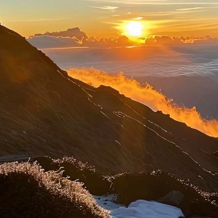 半盏云百货商行