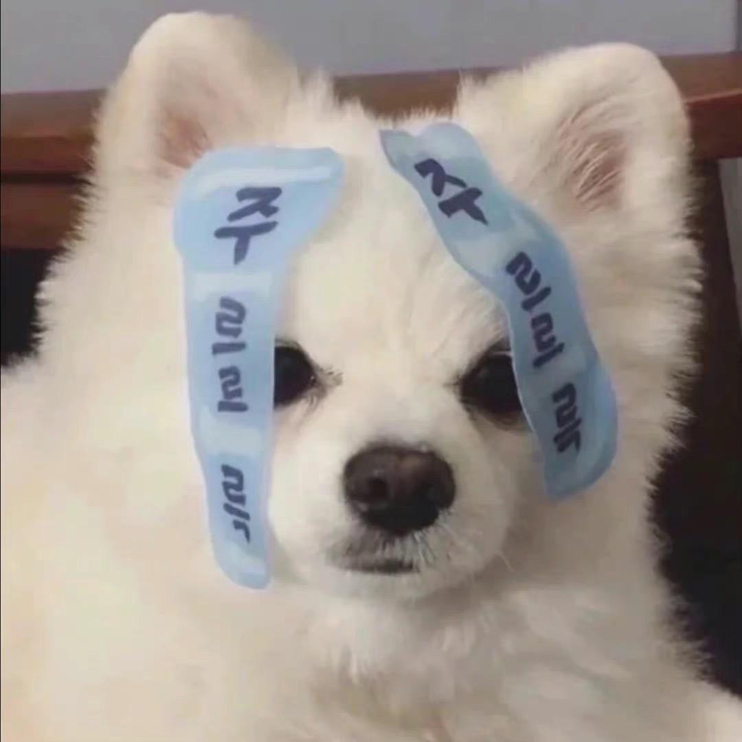 姜饼干