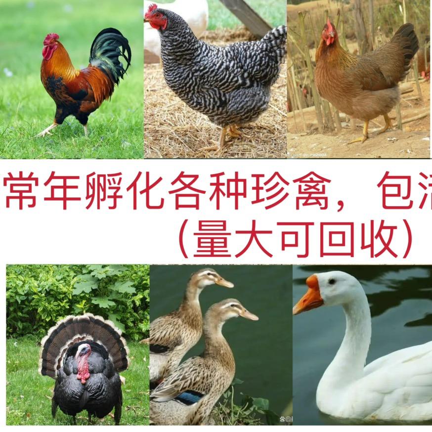58757946641