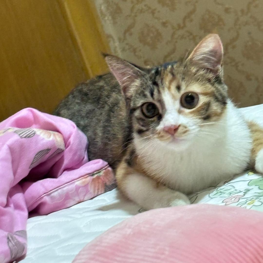 甜瓜不是苦瓜！