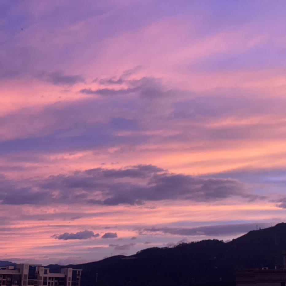 沿路的花会盛开