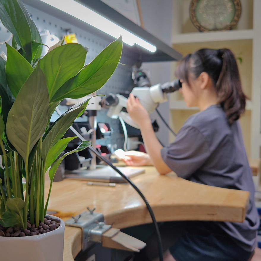 火眼金睛杨小花