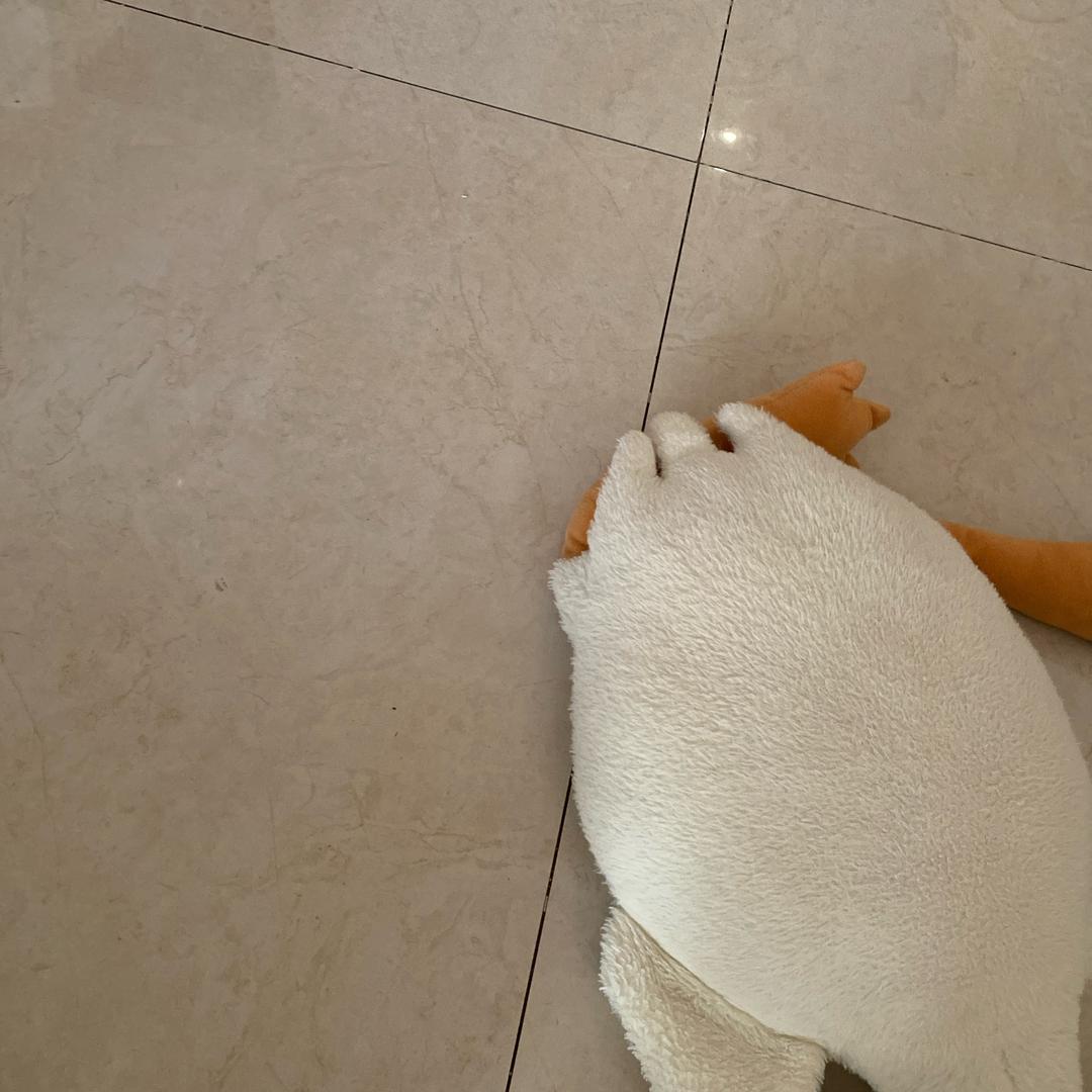 组壮表妹