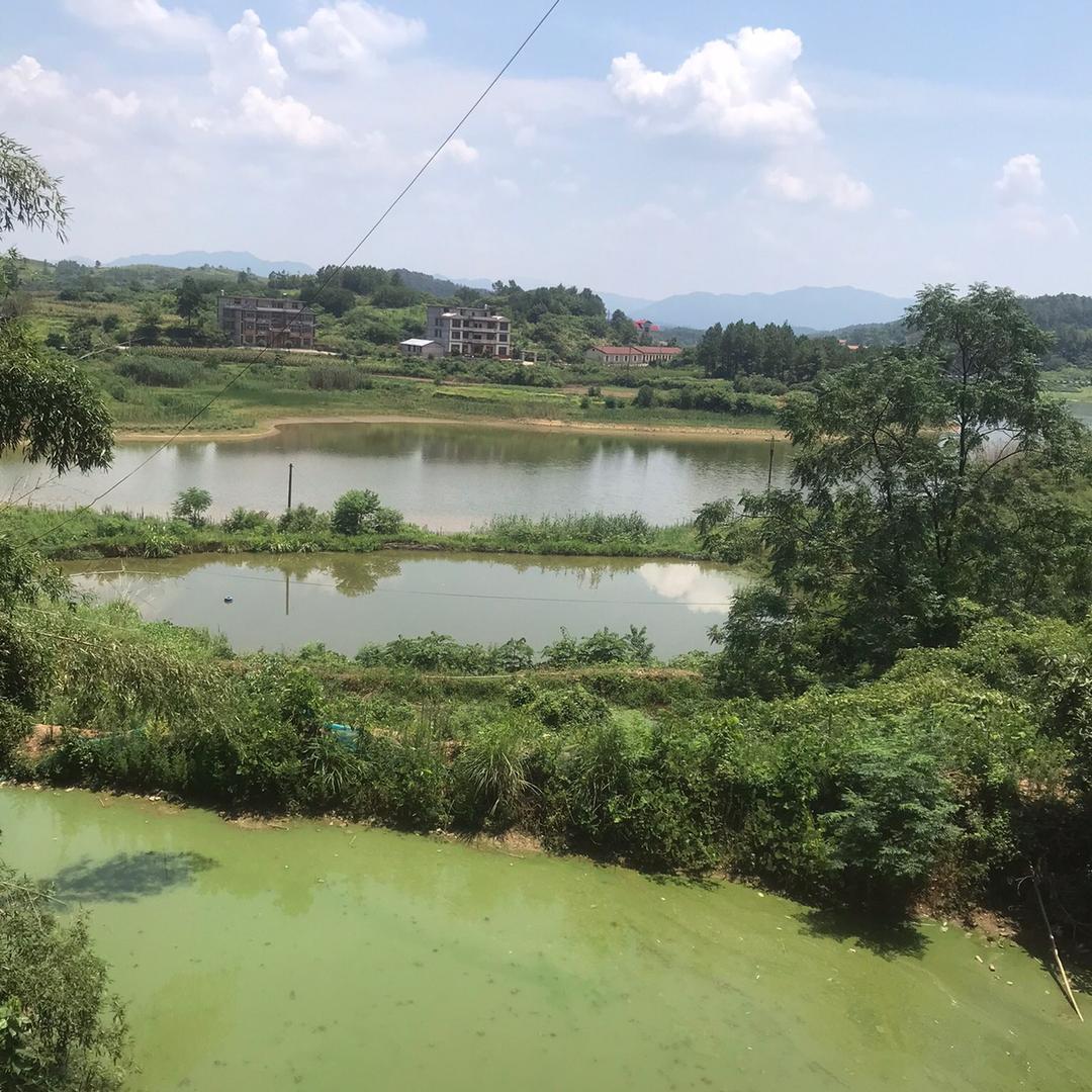 DIZINY媂姿尼青飞专卖店