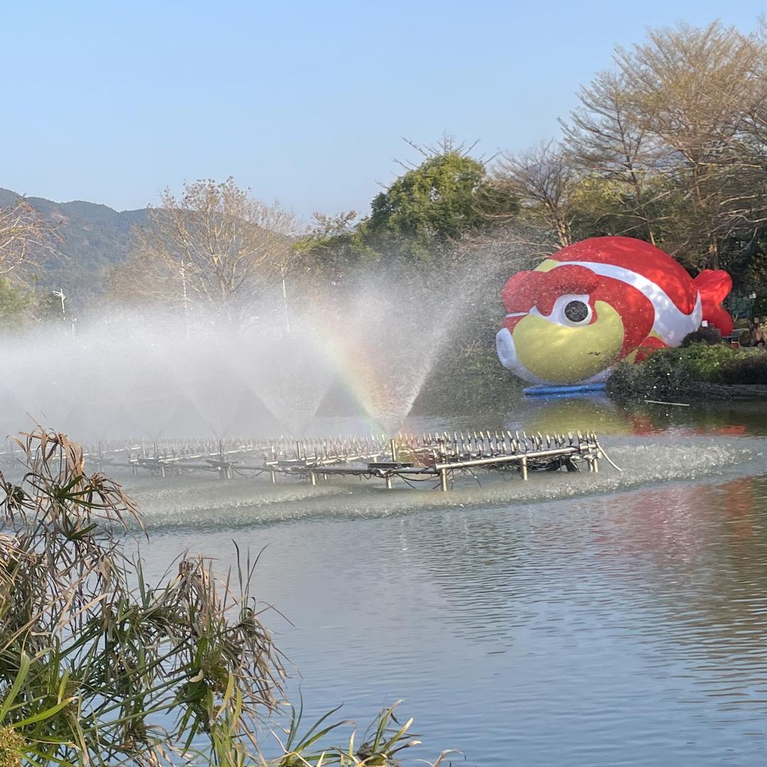 🌈疯狂