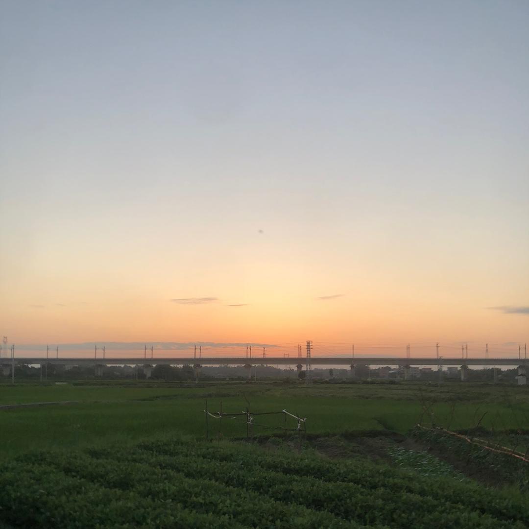 静妈 首播筹备中
