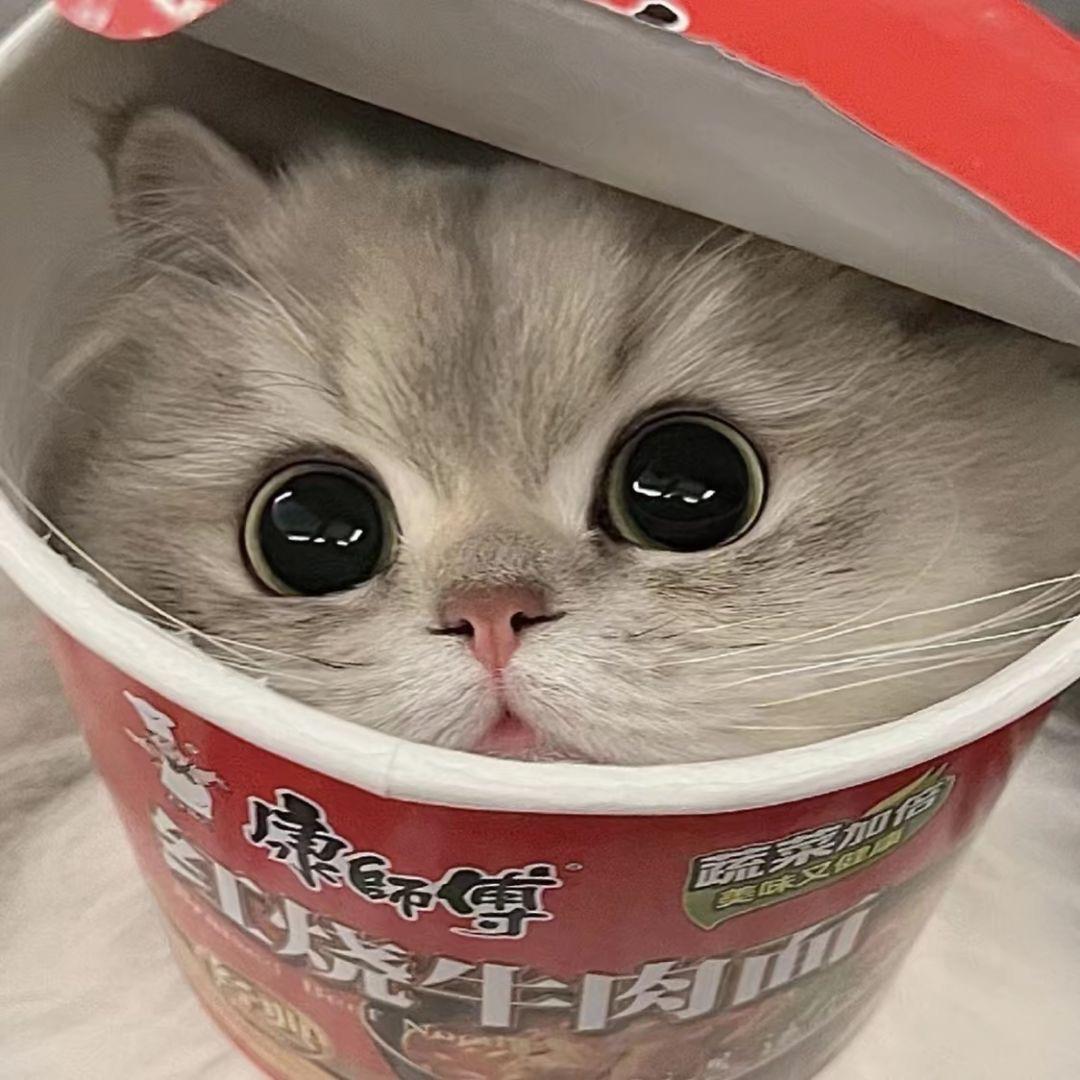 金之本佳