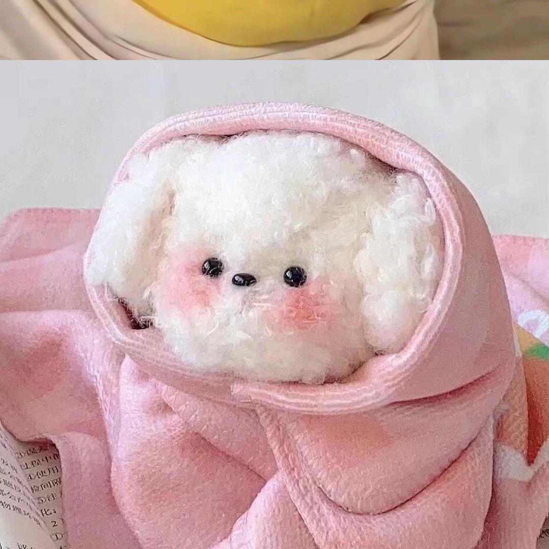 姜稚依