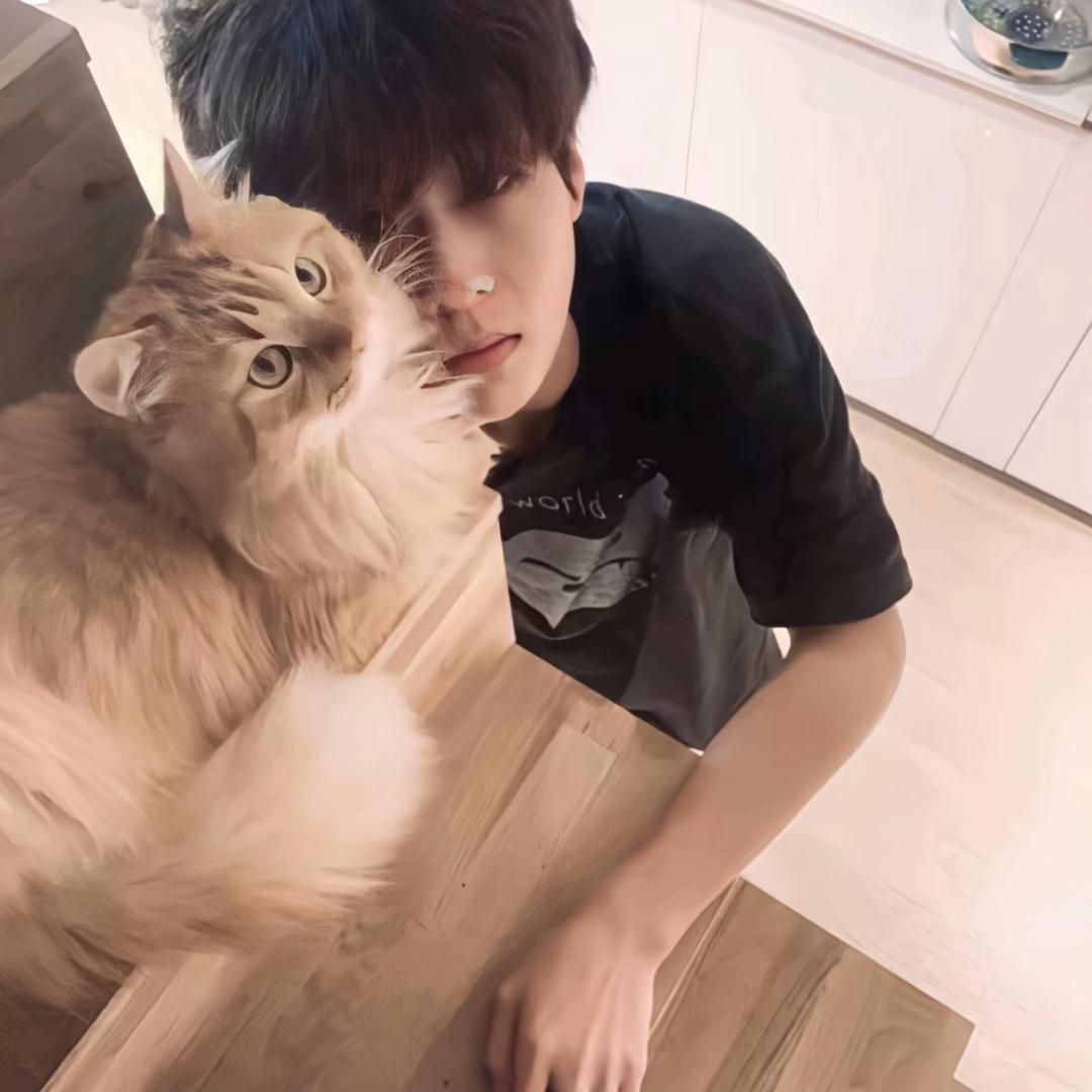 小y