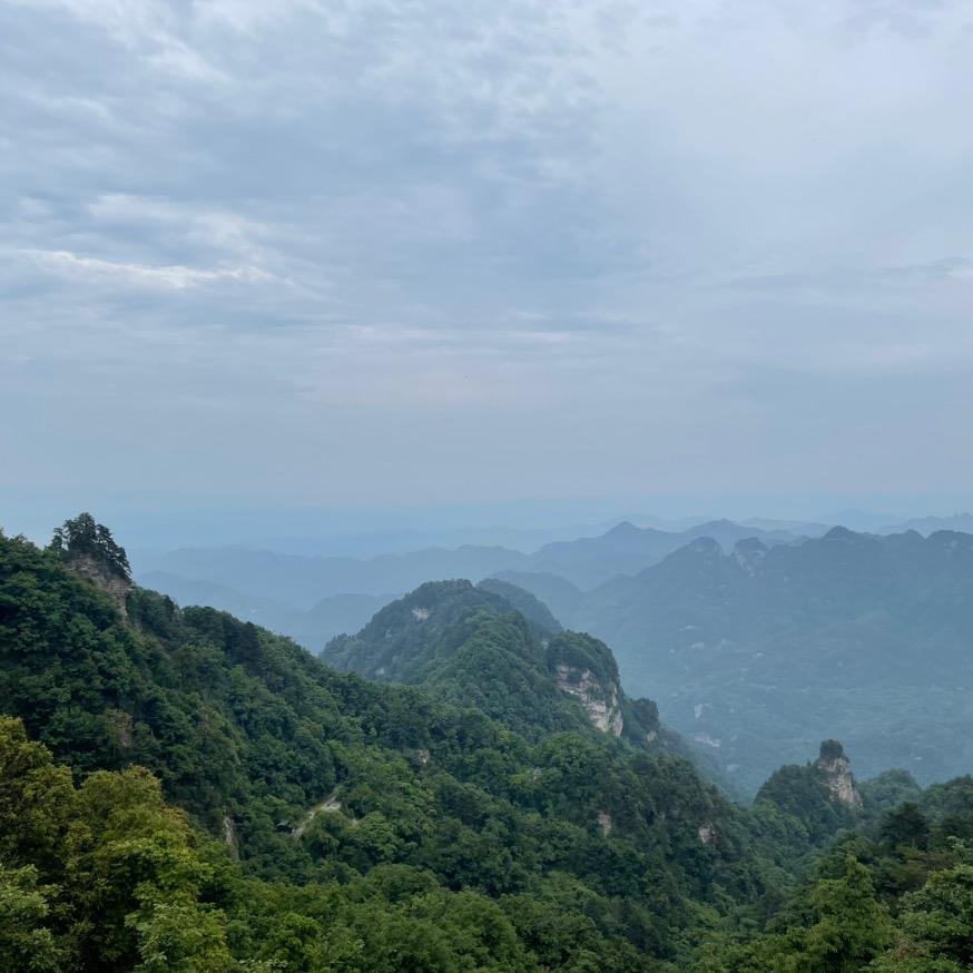 御隆烟酒(园西路店)西游直播号