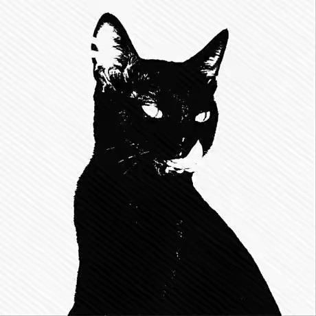 劳资甩你两耳屎