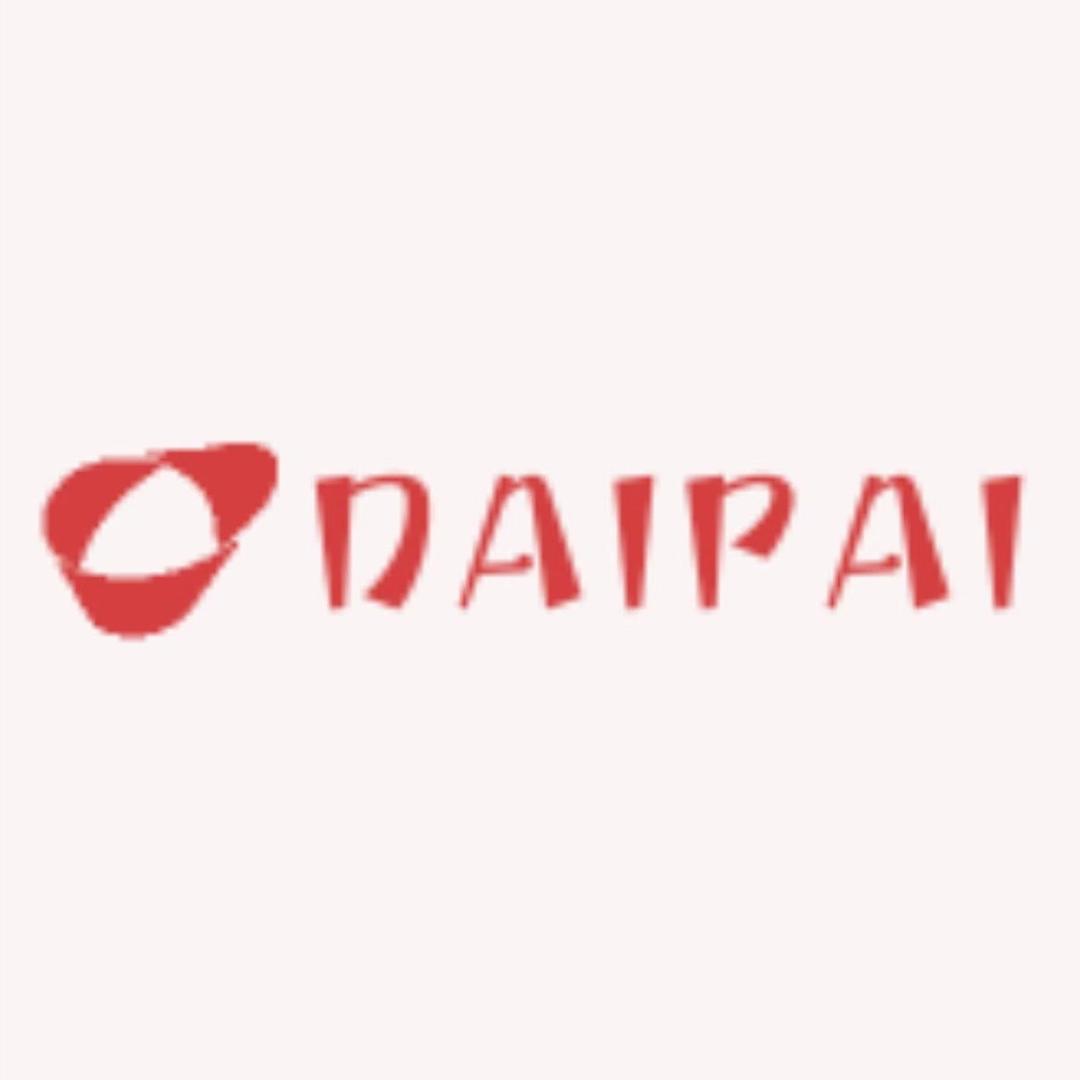 DAIPAI1号