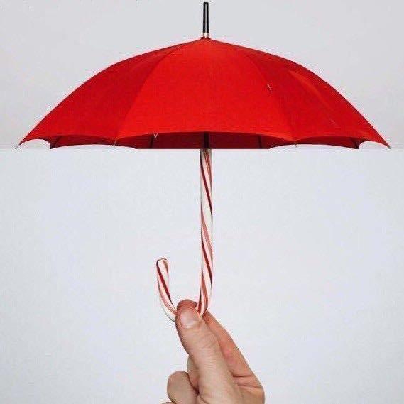 浮在空中的鱼群