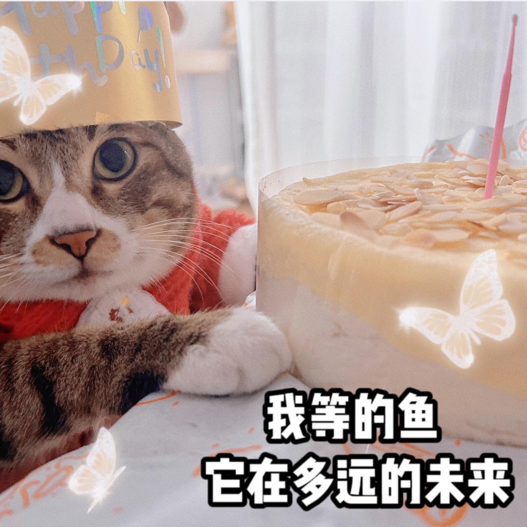 招财猫💤