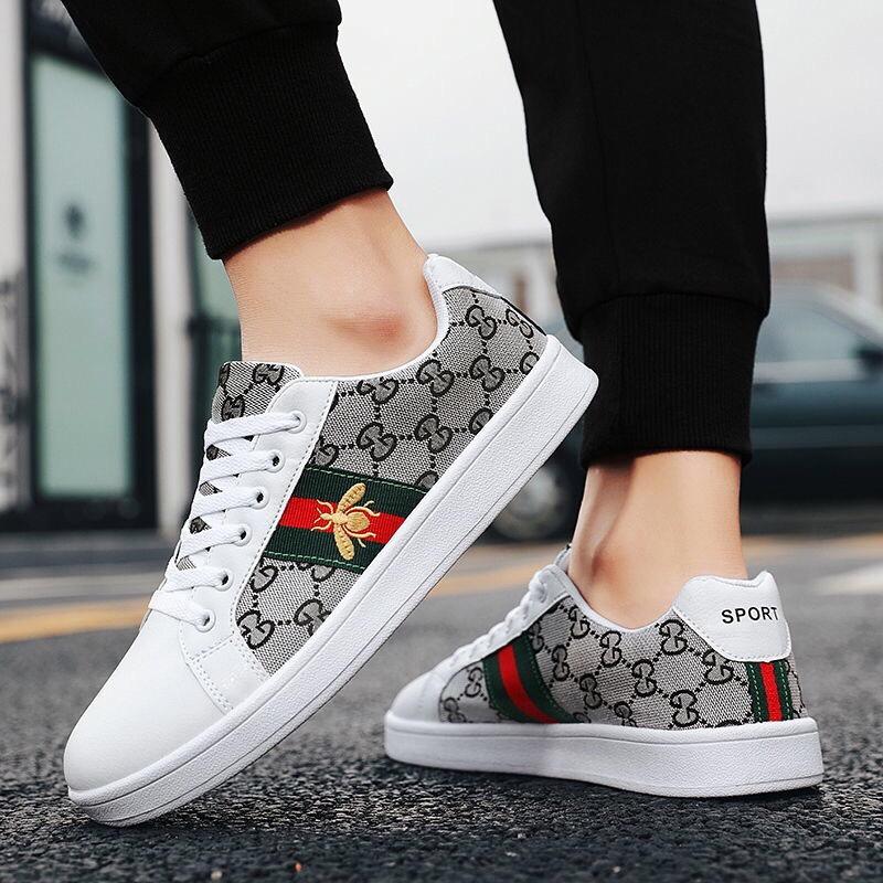 波斯猫的小阿那亚