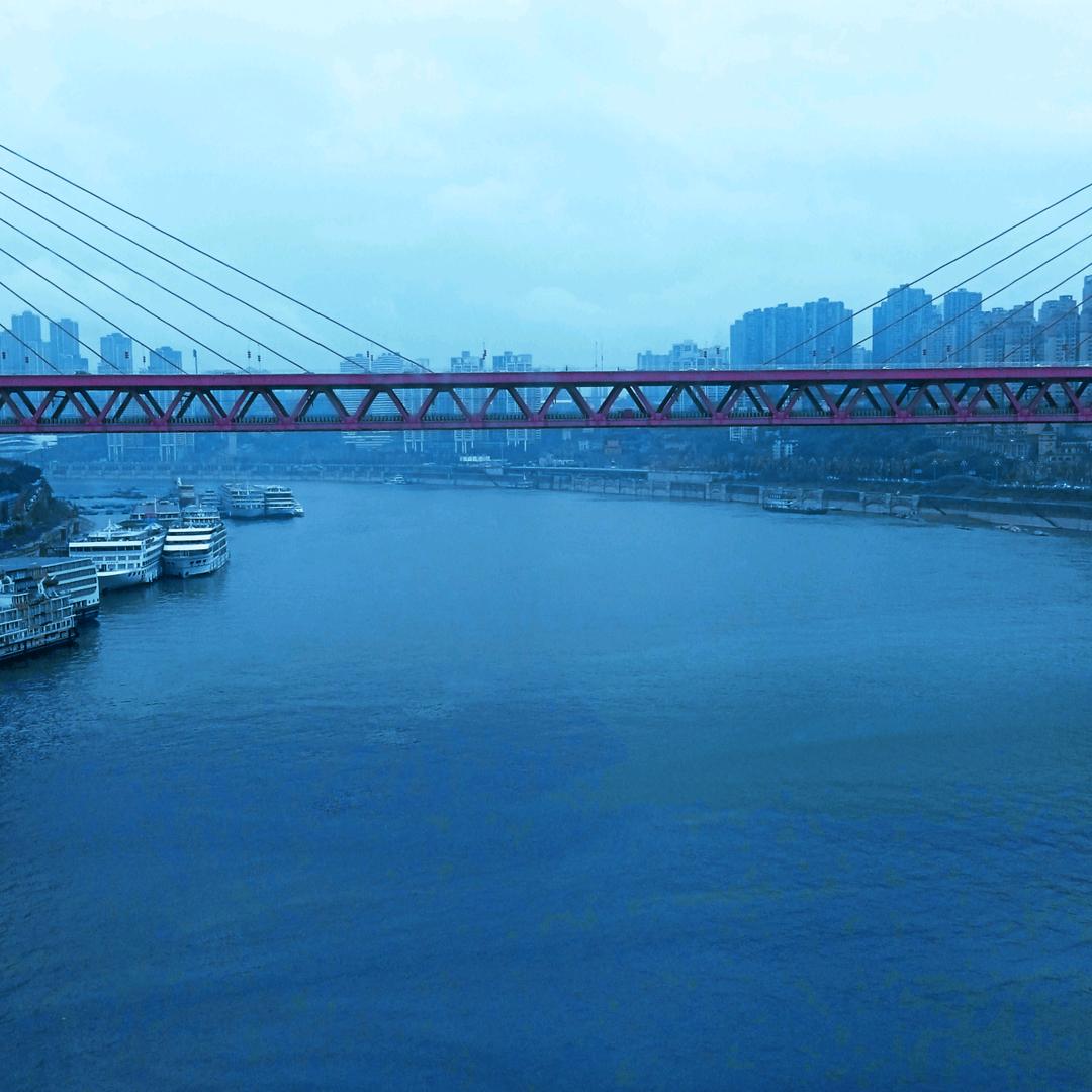 培你去流浪