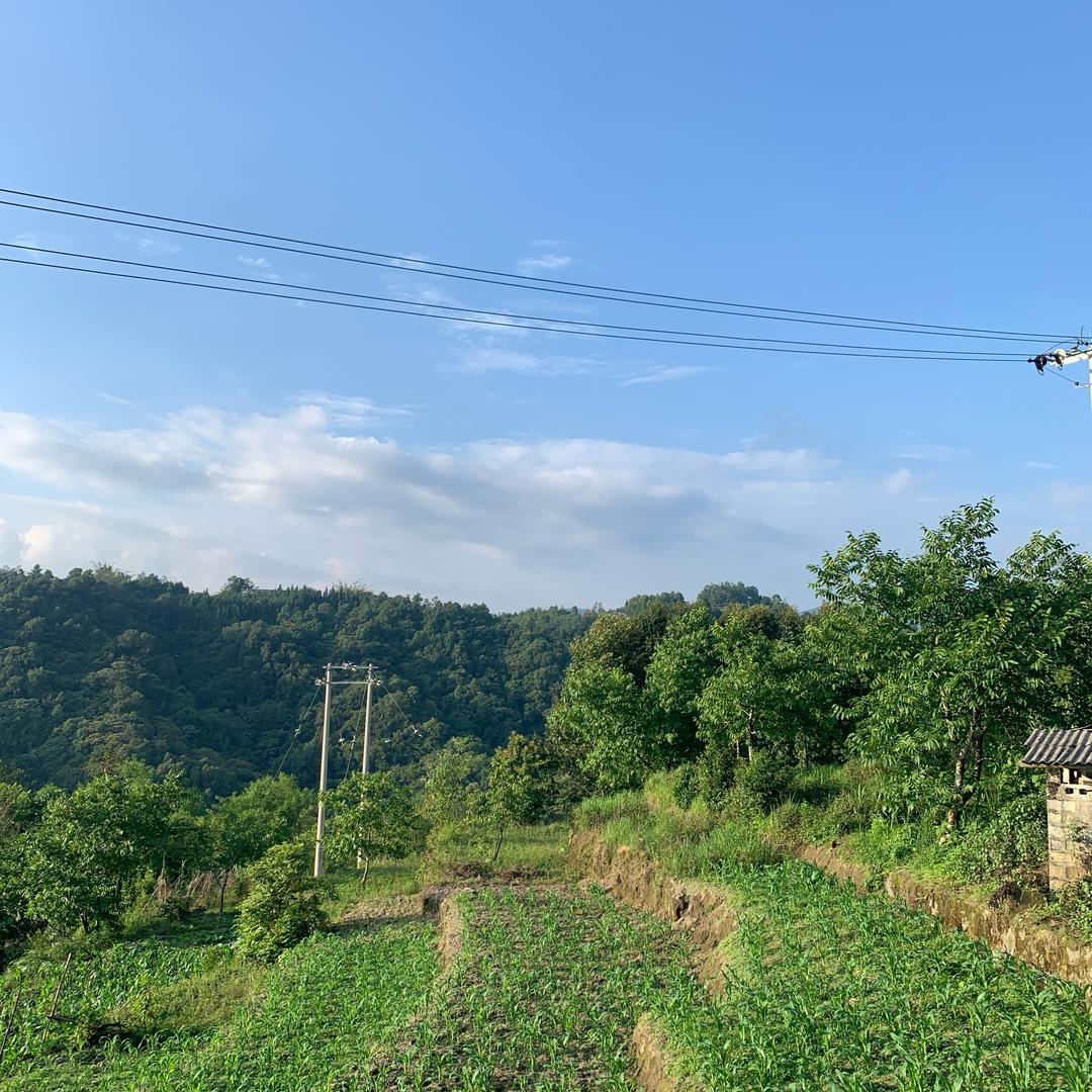 玉鼎珠宝源矿渠道号