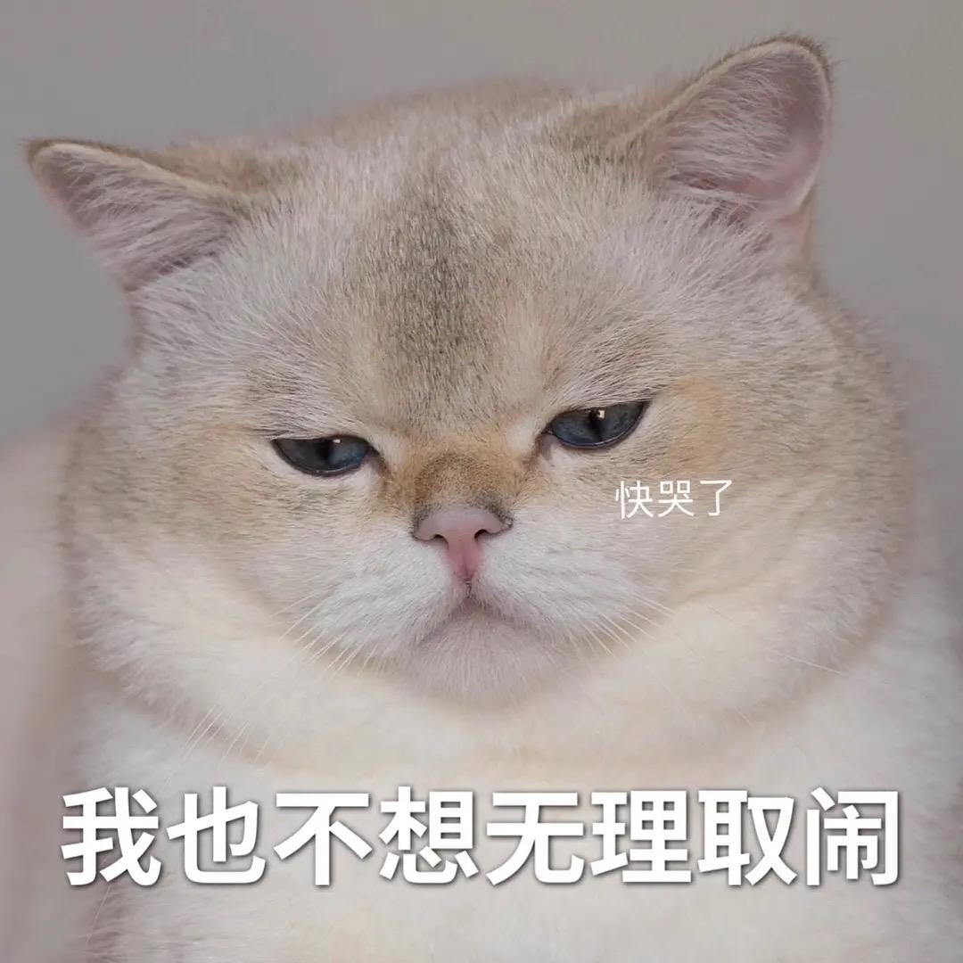 晴宝呀