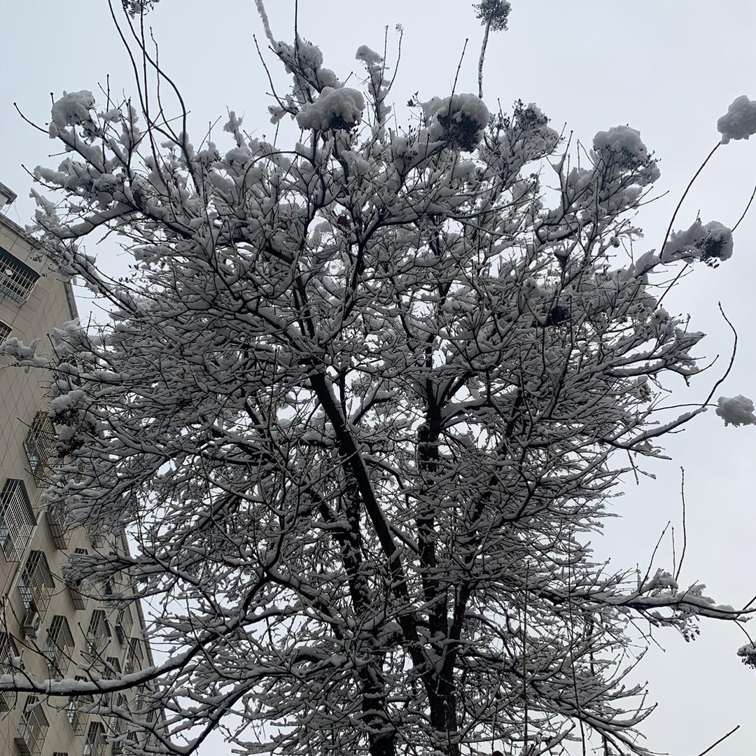 洛川一米阳光健身队