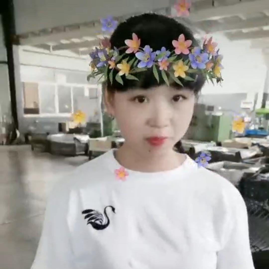 ai美