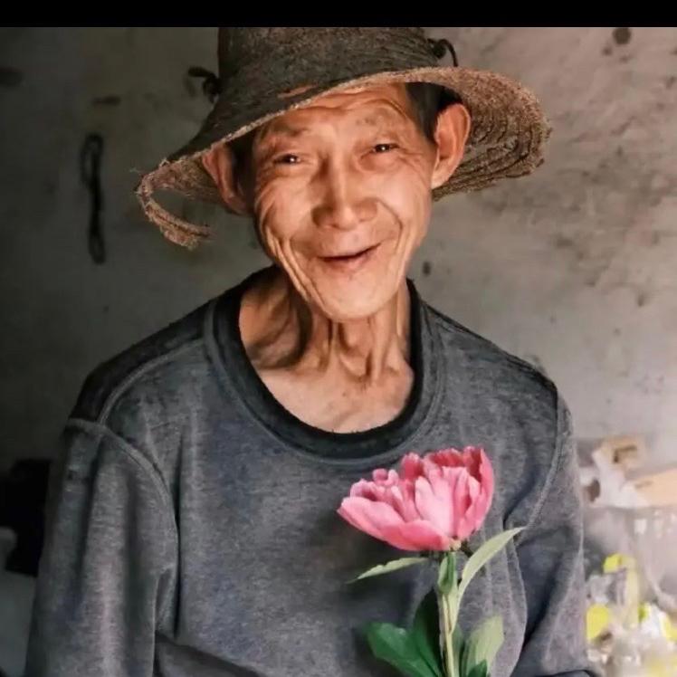 单纯的网友
