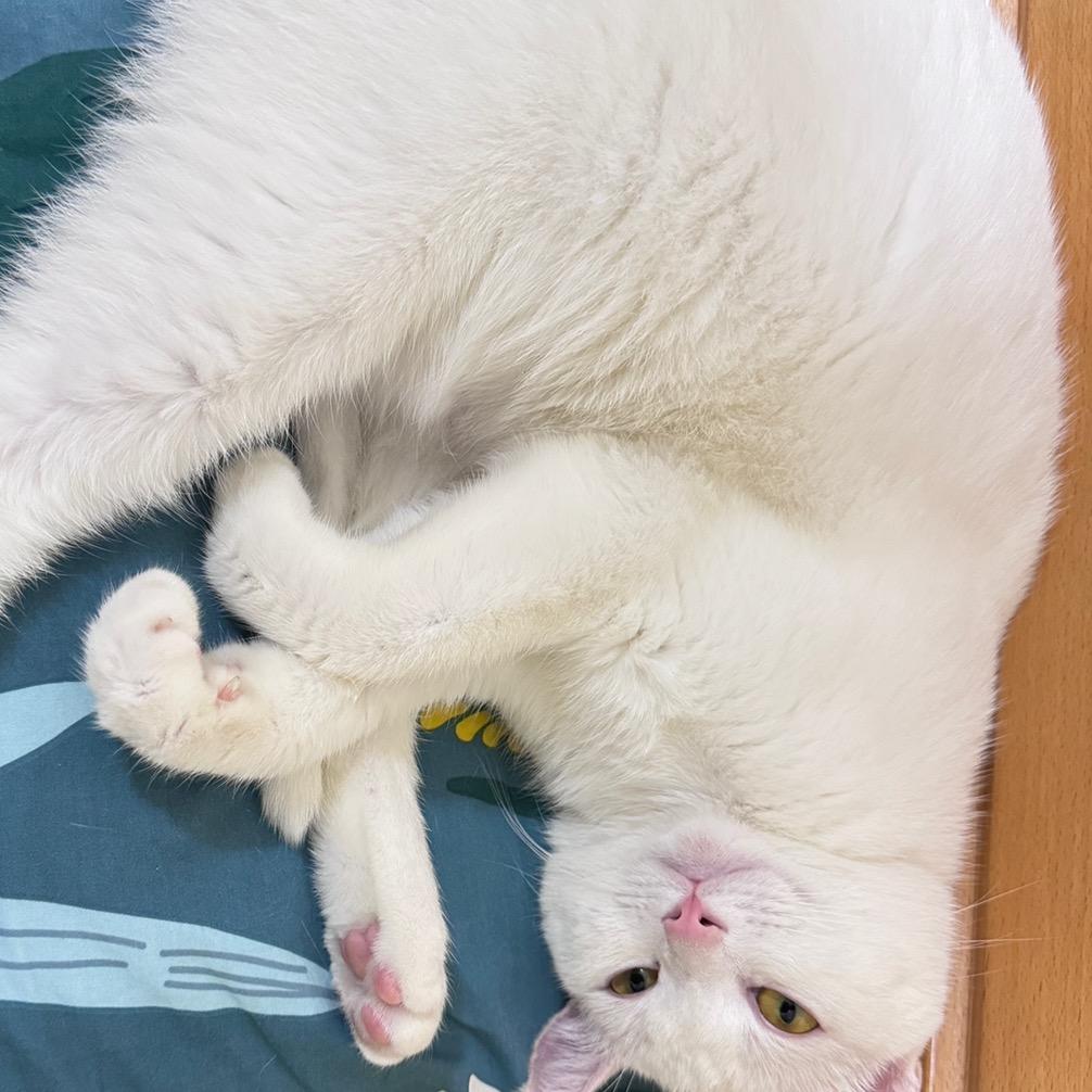 君君和莹莹的身材管理日记