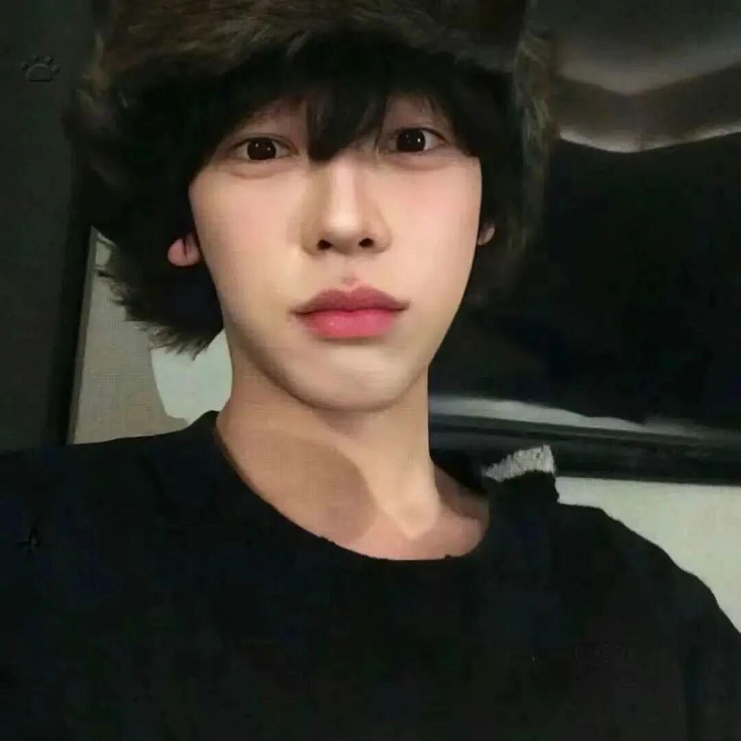 一条菜花狗