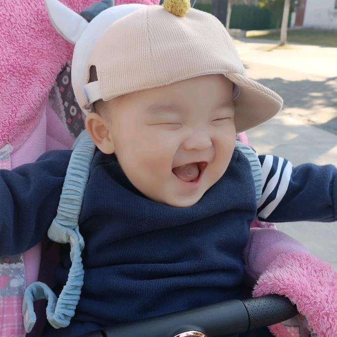 大漠孤鹰