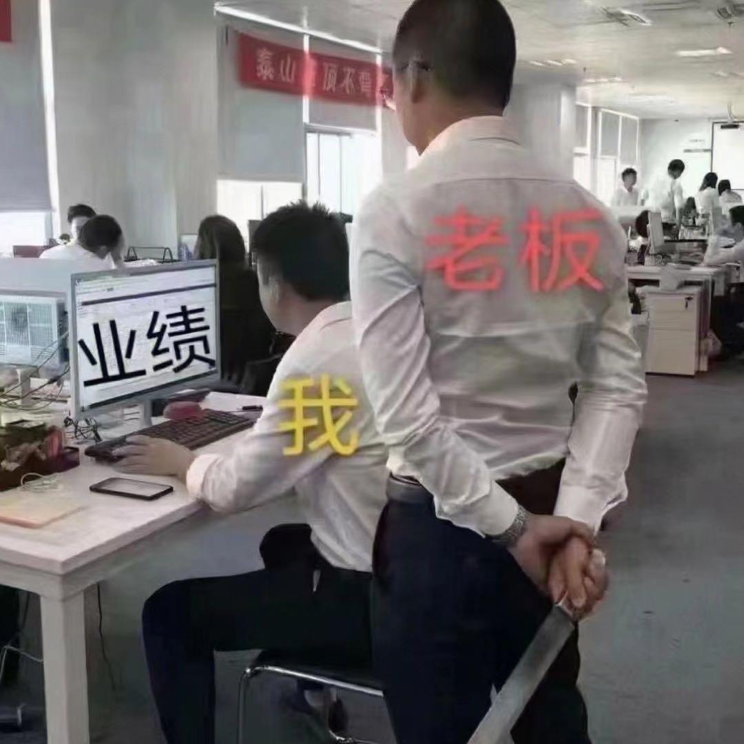 马某人上海漂流记