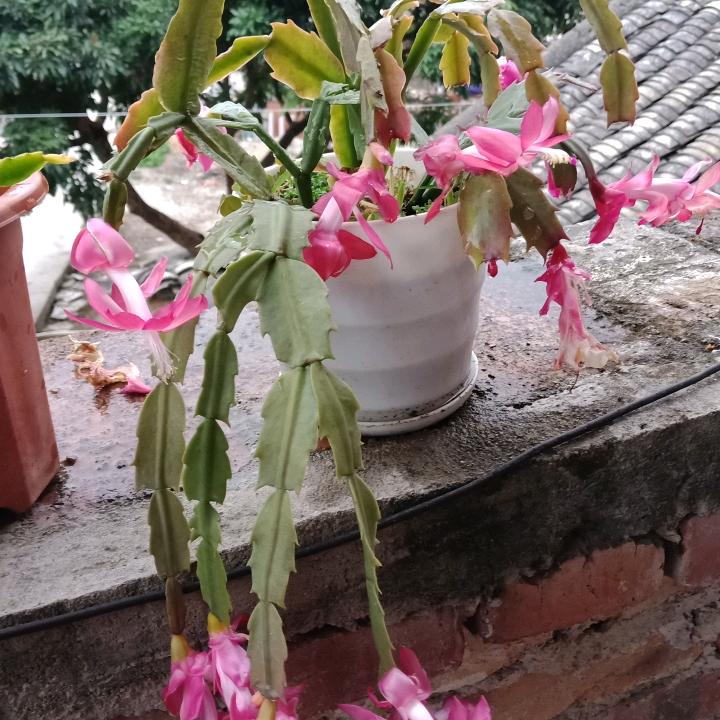 离别不说再见