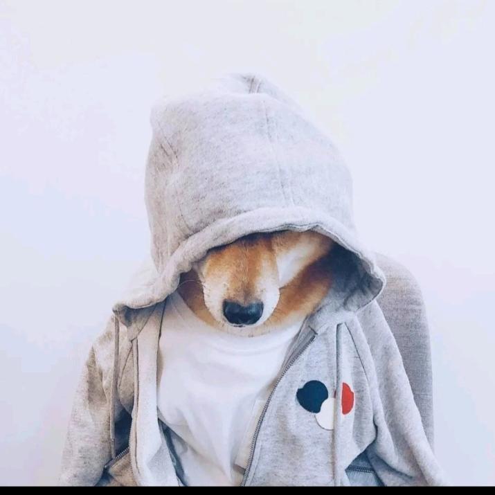 郭子（三角洲行动）