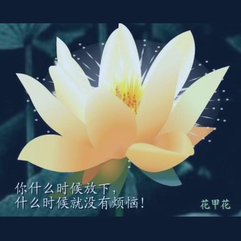 千集云翔