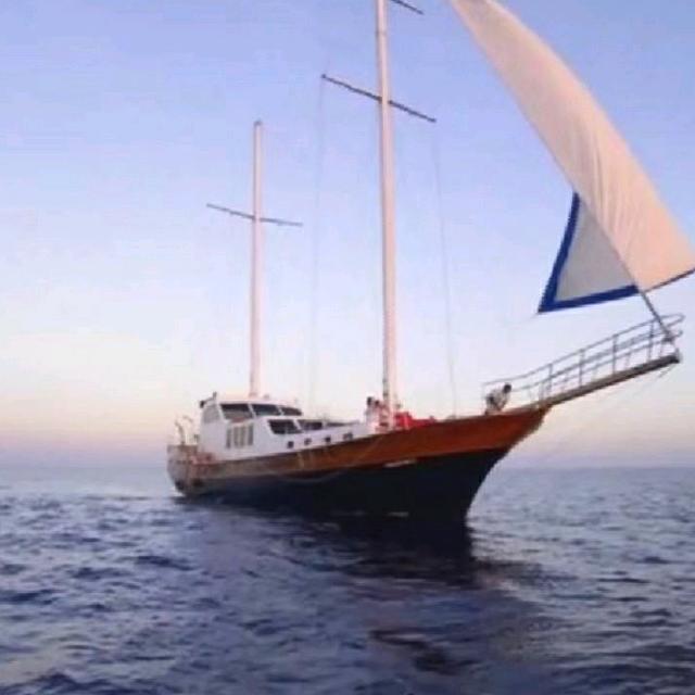 日月乾坤