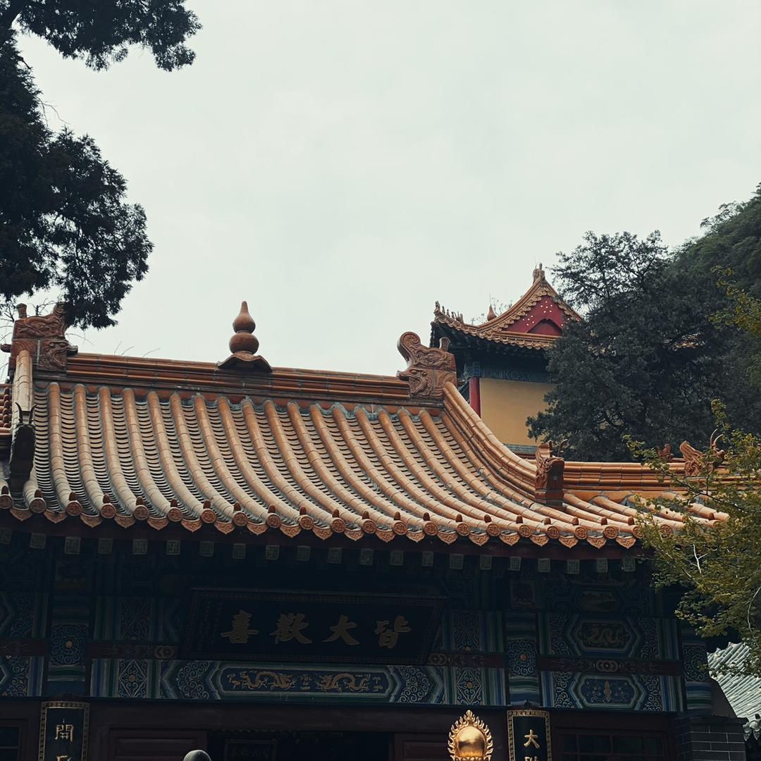 柒仙生的柒