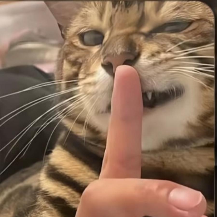 双生花