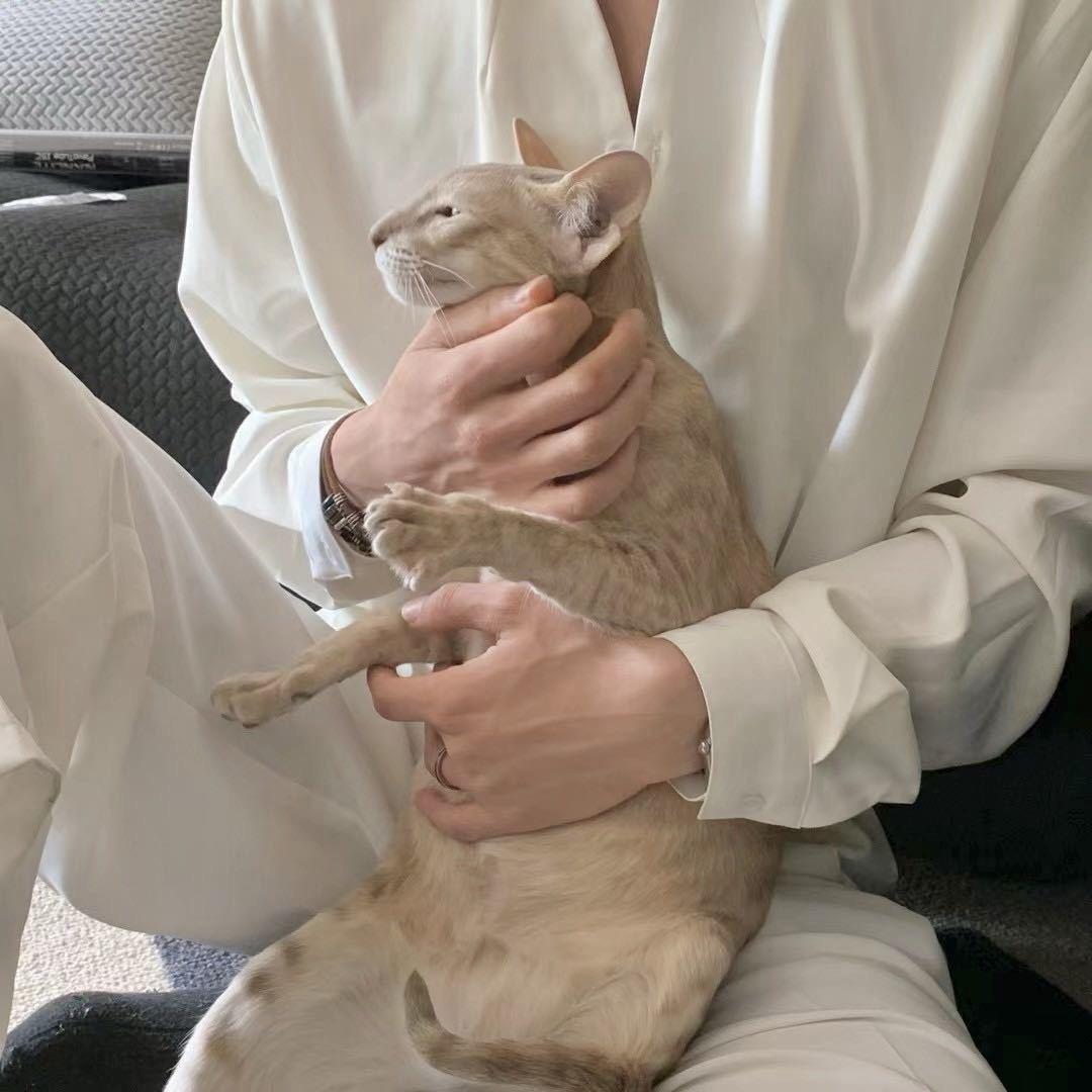 忧郁少爷.