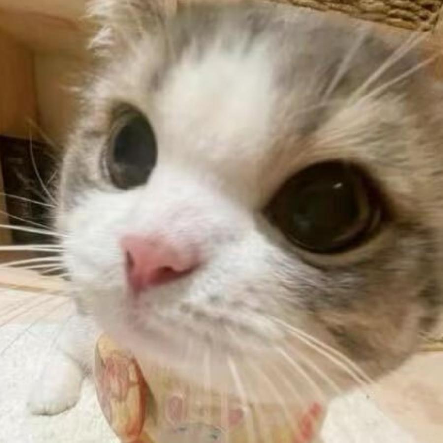 旭絃