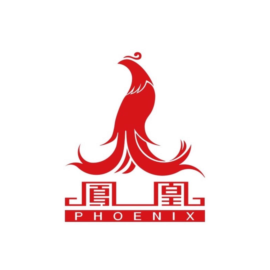 凤凰骑行家电动车专卖店
