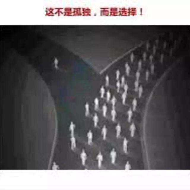 爱吃铁板水晶虾的王一头像