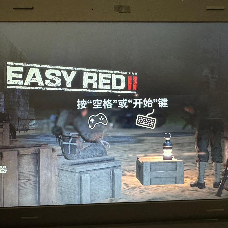 小鸡吃大米