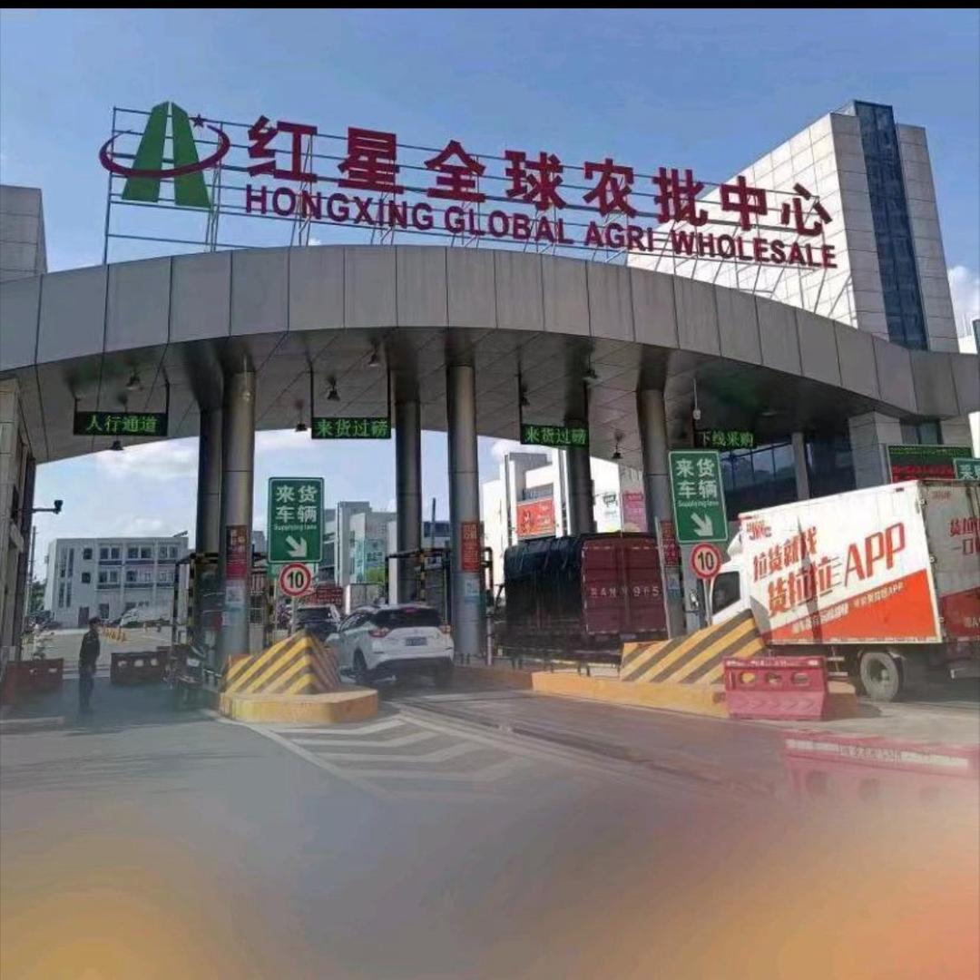 长沙红星阿果一件可发