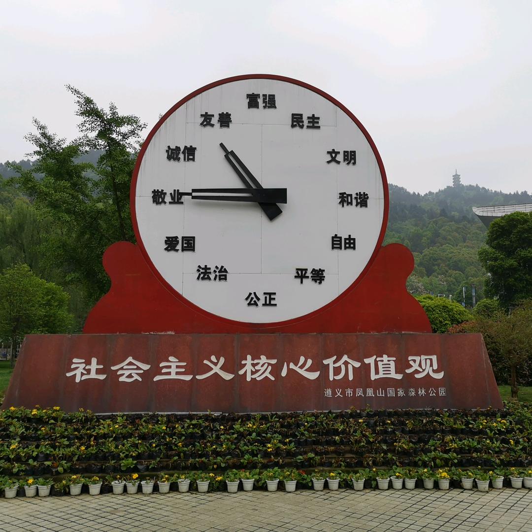 翱翔的青鸟