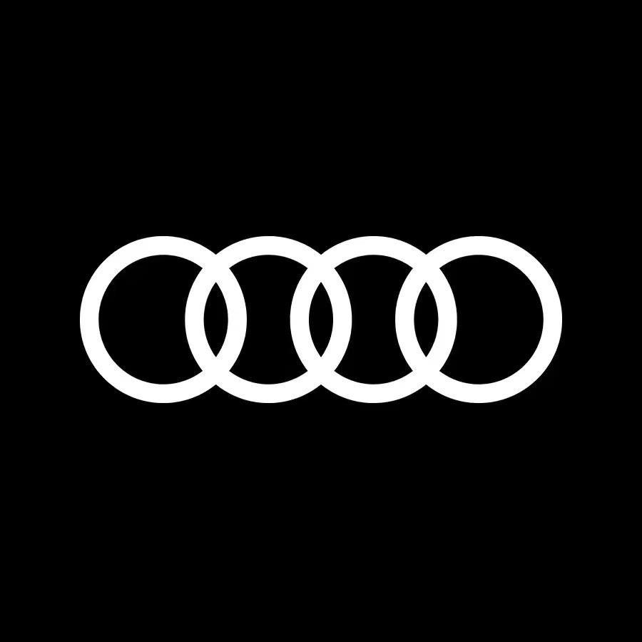 山东鑫龙奥奥迪