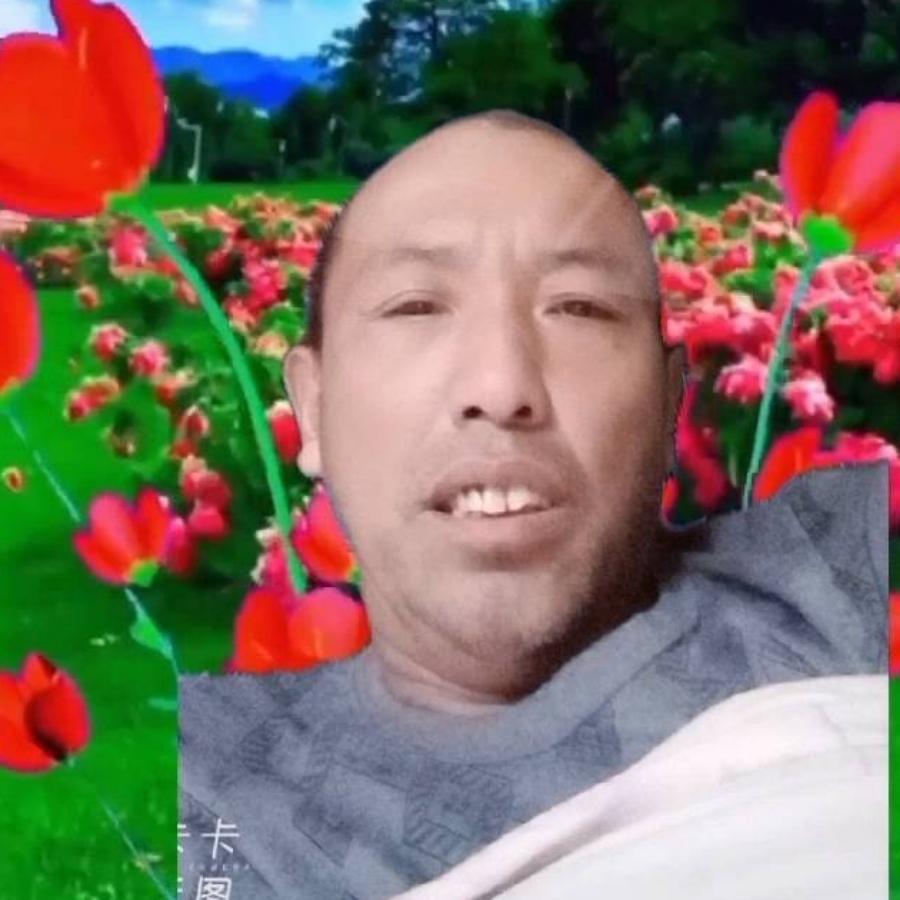 追鱼
