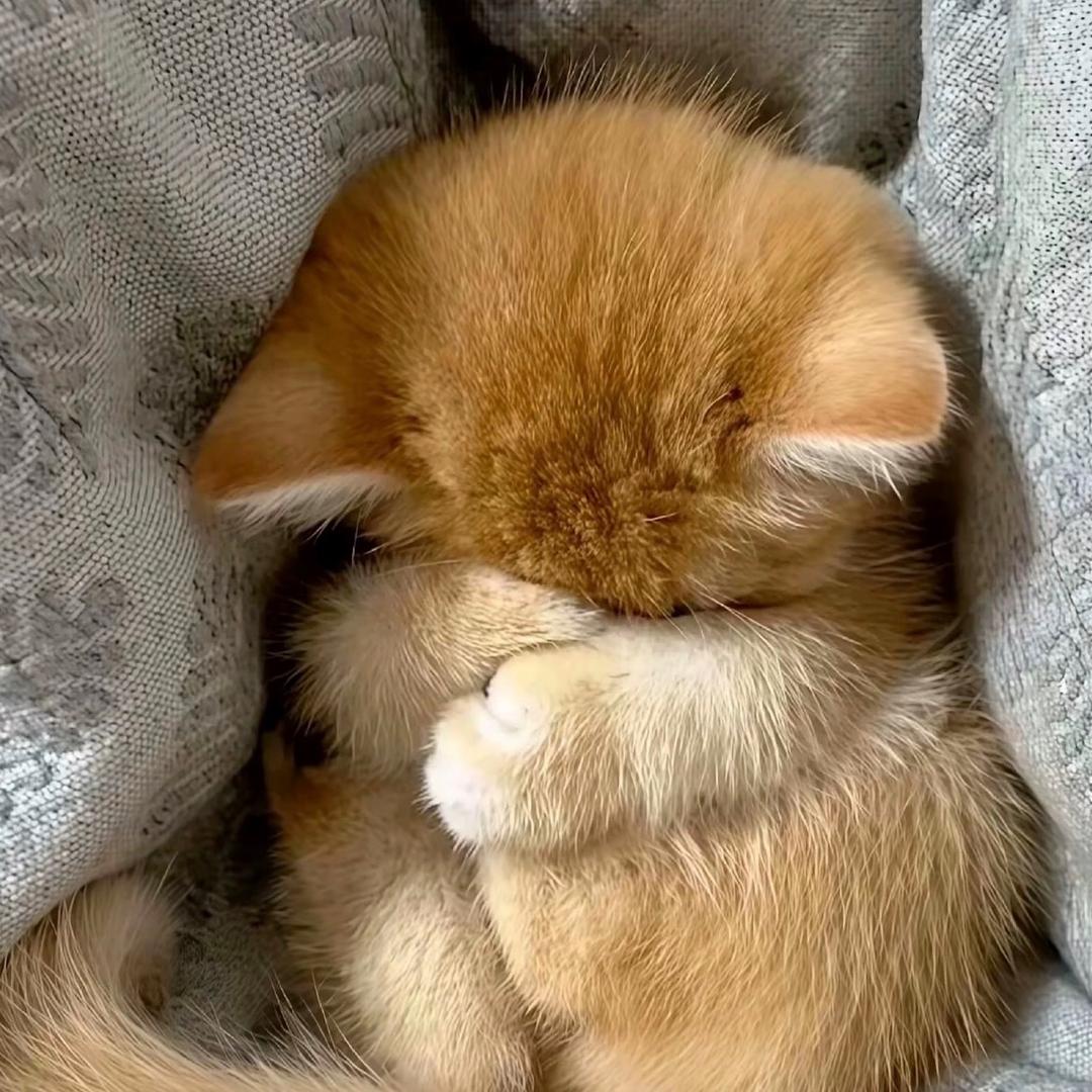 不要留我一个人