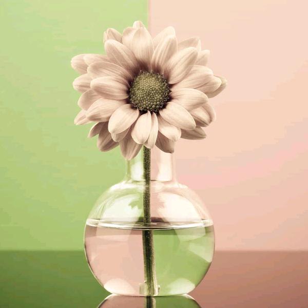 用户tu3763907433158