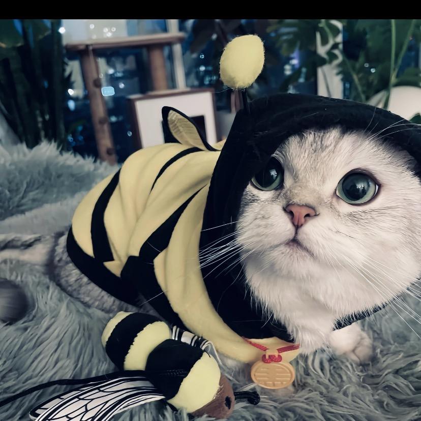 OSCAR²销售经理 龙山